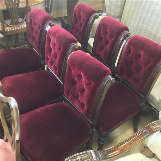 6 mahogany scroll back chairs